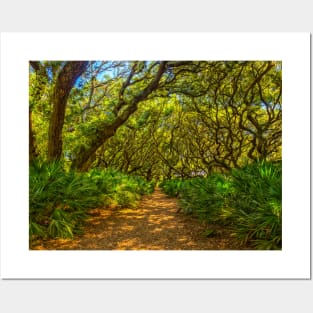 Cumberland Island National Seashore Posters and Art